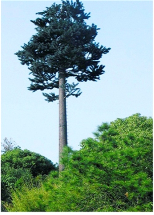 景區(qū)仿生樹塔